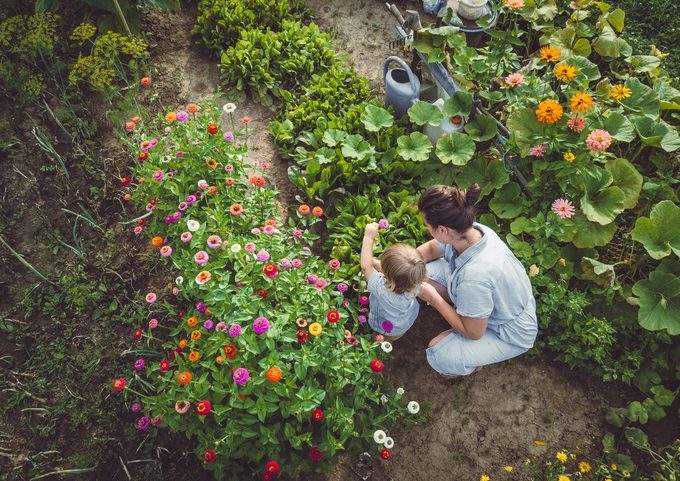 Gardening Trends and Natural Tips to Keep the Pesky Bugs Away